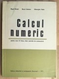 Calcul numeric pentru anul III liceu- Virgil Brisca, Bucur Ionescu