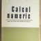 Calcul numeric pentru anul III liceu- Virgil Brisca, Bucur Ionescu