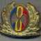 Y 1580 INSIGNA-MILITARA-EMBLEMA COIFURA- AVIATIE -PENTRU COLECTIONARI