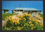 CPIB 17802 CARTE POSTALA - MUNTII BUCEGI. CABANA &quot;BABELE&quot;, Circulata, Fotografie