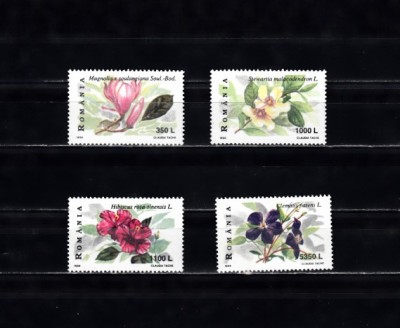 M1 TX9 6 - 1999 - Flori de arbusti foto