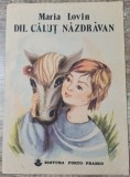 Dii, calut nazdravan - Maria Lovin// ilustratii Gabriela Craciun, Doina Neacsu