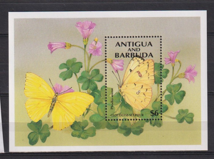 ANTIGUA&amp;BARBUDA MI.BLOCK 292 MNH