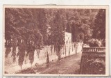 bnk cp Baile Herculane - Cerna - circulata 1951 - marca fixa