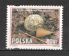 Polonia.1995 Anul international Katyn MP.301, Nestampilat
