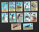 tristan de cunha pasari mnh