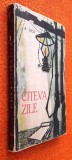 Citeva/cateva zile (Nuvela) - A. Bek, Editura Cartea Rusa, 1960