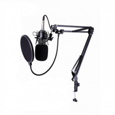 Kit Microfon pentru Podcast USB, ProMic foto