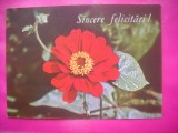 HOPCT 11498 -CP FELICITARE FLORI- ROMANIA-NECIRCULATA