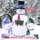 CD Marian Stere &lrm;&ndash; Surprize De Crăciun, original, De sarbatori