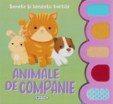 Sunete si senzatii tactile. Animale de companie - Girasol