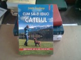 CUM SA-TI EDUCI CATELUL - COLETTE ARPAILLANGE