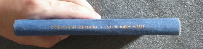 Constantin Nisipeanu - Să ne iubim visele (1967)