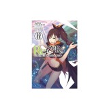 RE: Zero -Starting Life in Another World-, Vol. 22 (Light Novel)
