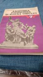 MANUAL ANATOMIA FIZIOLOGIA SI IGIENA OMULUI CLASA7 ELISABETA MANDRUSCA 1981