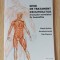 Ghid de tratament recuperator musculo-scheletal in hemofilie - Margit Serban, Hortensia Ionita