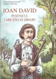 Ioan David, pustnicul care știa să zboare - Paperback brosat - Sophia