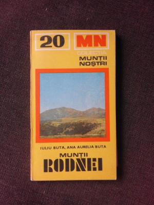 MUNTII RODNEI - IULIU BUTA foto