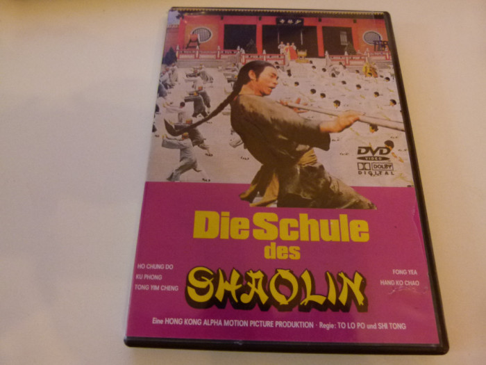 Die Schule des Shaolin