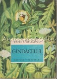 G&acirc;ndăcelul, Emil G&acirc;rleanu, Ilustrații Ileana Ceaușu Pandele, Editura Tineretului, 1968, Carte Copii, Basm