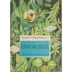 Gindacelul - Emil Garleanu - Ilustratii: Ileana Ceausu Pandele