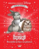 Iepurasi. Bocanila isi face un prieten