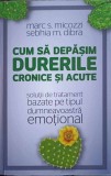 CUM SA DEPASIM DURERILE CRONICE SI ACUTE. SOLUTII DE TRATAMENT BAZATE PE TIPUL DUMNEAVOASTRA EMOTIONAL-MARC S. M, 2017