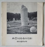 ACIOBANITAI VASILE , SCULPTURE , CATALOG DE PREZENTARE , 1981