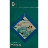 Marea - 1968 - C. S. Antonescu (T153)