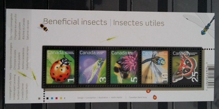 Fauna, insecte, buburuza, fluture, bloc, 2007, MNH
