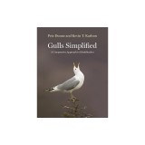 Gulls Simplified: A Comparative Approach to Identification