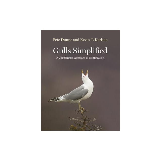 Gulls Simplified: A Comparative Approach to Identification