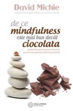 De ce mindfulness este mai bun decat ciocolata | David Michie