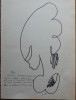 Manuscris George Popescu, 3 Poezii + Desene pt. I. Sarghie, Autograf, Colectie Literatura, Uniunea Scriitorilor, Ramuri, Universitatea Craiova