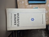 Anonim flăm&acirc;nd vintage