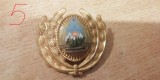 QW14 - Emblema militara / cuc - uscat - comunism - piesa de colectie