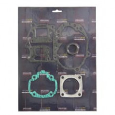 Set garnituri motor compatibil: PEUGEOT ELYSEO, SV, TREKKER 100 1998-2001