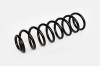 Arc Suspensie Spate 65899 NGH 02.03.020