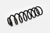 Arc Suspensie Spate 65899 NGH 02.03.020