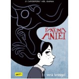 Fantoma Aniei, Vera Brosgol, Grafic
