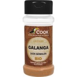 Condiment Galangal Pudra Bio 25gr Cook