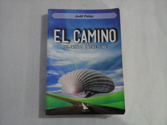 EL CAMINO PELERINAJ CATRE SINE - JUDIT PELEA