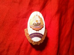 Insigna RSR Academia Militara , stema RSR , metal si email , h=4,2cm foto
