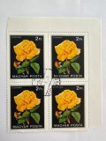 Ungaria 1982 Flora Soiuri de Trandafiri Bloc de 4 cu Margine de Coală Diorama 2Ft Ștampilat - A301