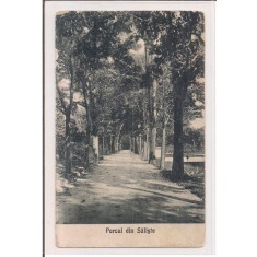 Carte postala necirculatadin perioada interbelica