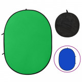 vidaXL Ecran fundal studio foto 2-&icirc;n-1 verde&amp;albastru 200x150 cm oval