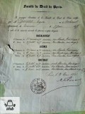 Certificat de studii Traian Djuvara Facultatea de Drept Paris 1881