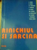 RINICHIUL SI SARCINA-C. ZOSIN, N. BARBU, ST. CHIOVSCHI SI COLAB.-231948