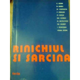 RINICHIUL SI SARCINA-C. ZOSIN, N. BARBU, ST. CHIOVSCHI SI COLAB.-231948