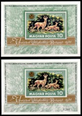 Ungaria 1971, Mi #2683 = Bl 82 A+B**, dant + ned, fauna, cerb, vanatoare, MNH. Cota 61,- &euro;!
